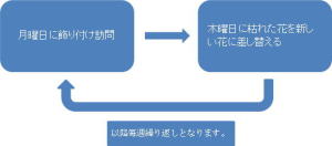 定期装花のサイクル画像